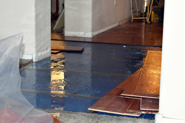 Professional Basement Flood Cleanup technician working in Dover, NJ